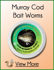  Murray Cod Worms