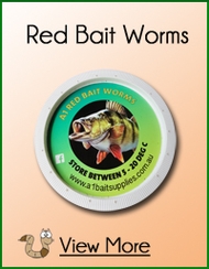Red Bait Worms