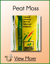 Peat Moss