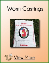 Worm Castings